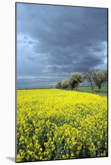 Oberlausitz, Landscape - Germany-Barbara Optiz-Mounted Photographic Print