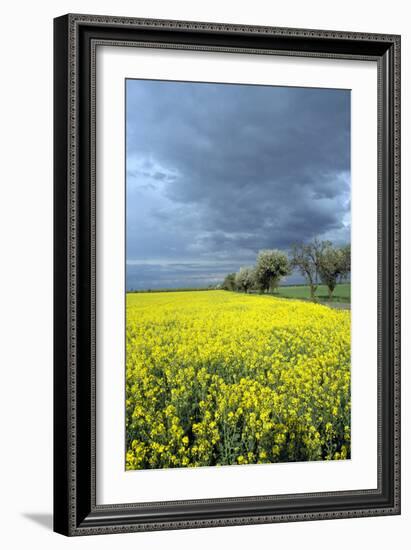 Oberlausitz, Landscape - Germany-Barbara Optiz-Framed Photographic Print