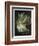 Oberon And The Mermaid-Douglas Harvey-Framed Premium Giclee Print