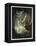 Oberon And The Mermaid-Douglas Harvey-Framed Stretched Canvas