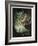 Oberon And The Mermaid-Douglas Harvey-Framed Art Print