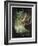 Oberon And The Mermaid-Douglas Harvey-Framed Art Print