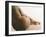 Obesity-Cristina-Framed Photographic Print