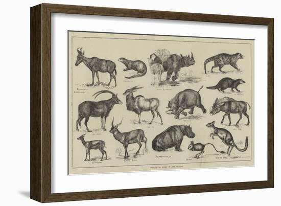 Objects of Sport in the Soudan-null-Framed Giclee Print