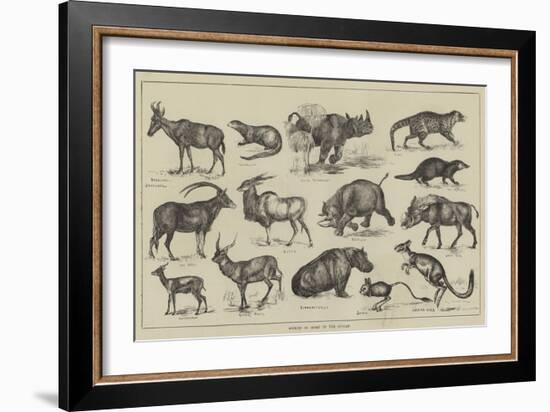 Objects of Sport in the Soudan-null-Framed Giclee Print