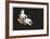 Objet Tellurique-Alain Le Yaouanc-Framed Collectable Print