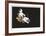 Objet Tellurique-Alain Le Yaouanc-Framed Collectable Print