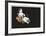 Objet Tellurique-Alain Le Yaouanc-Framed Collectable Print