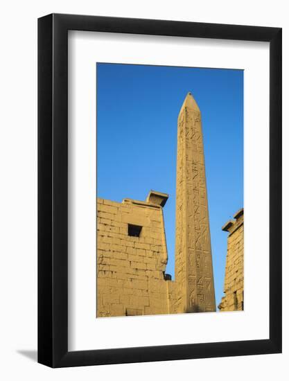 Oblelisk at temple entrance, Luxor Temple, UNESCO World Heritage Site, Luxor, Egypt, North Africa, -Jane Sweeney-Framed Photographic Print