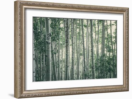 Obscured By Alters-Eunika Rogers-Framed Art Print