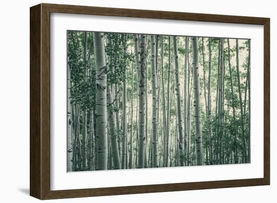 Obscured By Alters-Eunika Rogers-Framed Art Print