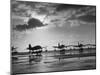 Observation Planes Sitting at Water's Edge at a US Navy Air Base-null-Mounted Photographic Print