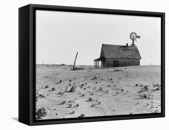 Occupied house in Dalhart, Texas where most are abandoned in the drought, 1938-Dorothea Lange-Framed Premier Image Canvas