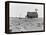 Occupied house in Dalhart, Texas where most are abandoned in the drought, 1938-Dorothea Lange-Framed Premier Image Canvas