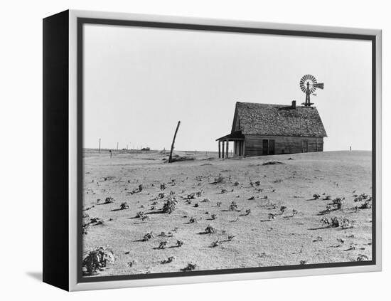 Occupied house in Dalhart, Texas where most are abandoned in the drought, 1938-Dorothea Lange-Framed Premier Image Canvas