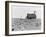 Occupied house in Dalhart, Texas where most are abandoned in the drought, 1938-Dorothea Lange-Framed Photographic Print