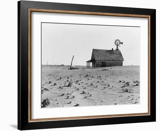 Occupied house in Dalhart, Texas where most are abandoned in the drought, 1938-Dorothea Lange-Framed Photographic Print