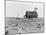 Occupied house in Dalhart, Texas where most are abandoned in the drought, 1938-Dorothea Lange-Mounted Photographic Print