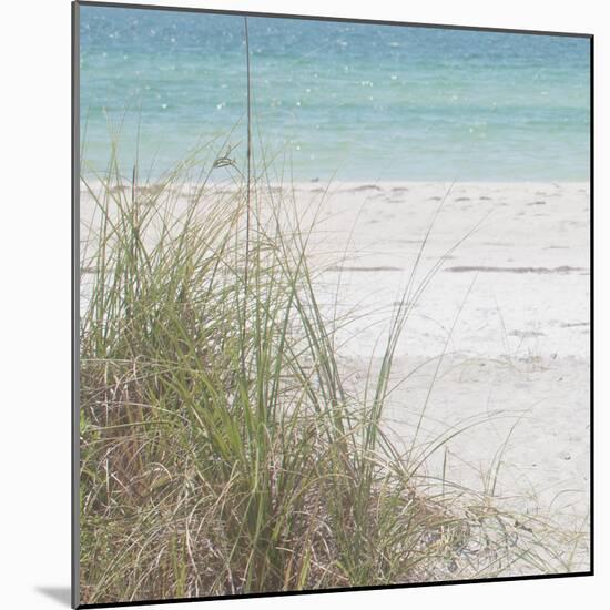 Ocean Air I-Susan Bryant-Mounted Photographic Print