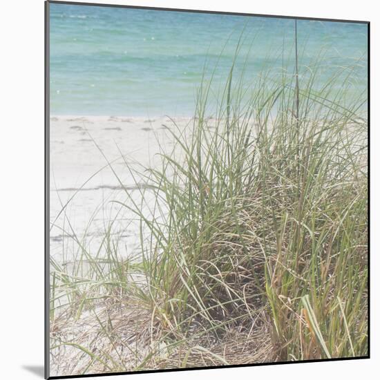 Ocean Air II-Susan Bryant-Mounted Photographic Print