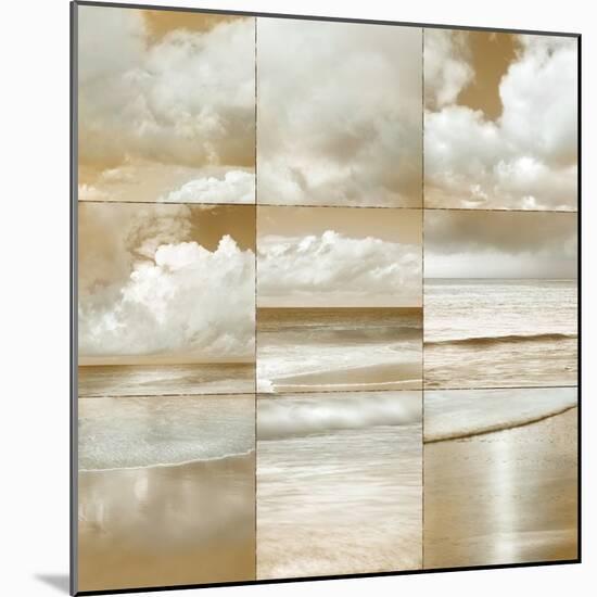 Ocean Air II-John Seba-Mounted Art Print