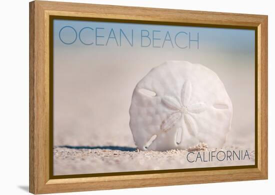 Ocean Beach, California - Sand Dollar on Beach-Lantern Press-Framed Stretched Canvas