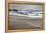 Ocean Beach-David Knowlton-Framed Premier Image Canvas