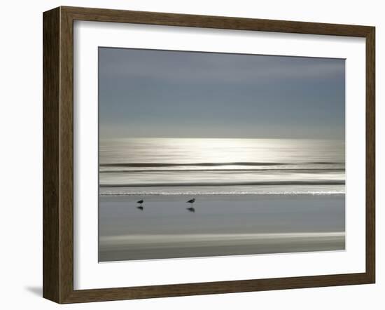 Ocean Birds, 2024-Alex Hanson-Framed Art Print