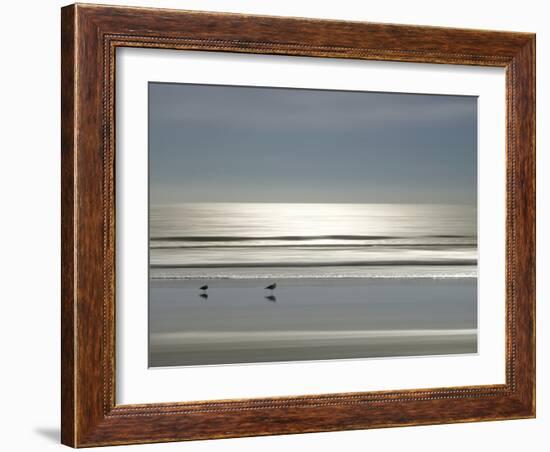 Ocean Birds, 2024-Alex Hanson-Framed Art Print