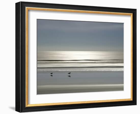 Ocean Birds, 2024-Alex Hanson-Framed Art Print