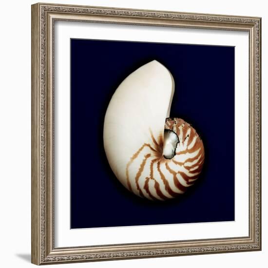 Ocean Blue 5-Julie Greenwood-Framed Art Print