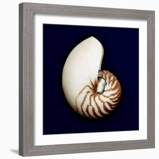 Ocean Blue 5-Julie Greenwood-Framed Art Print