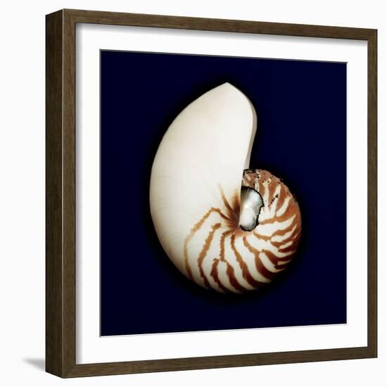 Ocean Blue 5-Julie Greenwood-Framed Art Print