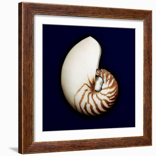 Ocean Blue 5-Julie Greenwood-Framed Art Print