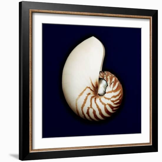 Ocean Blue 5-Julie Greenwood-Framed Art Print