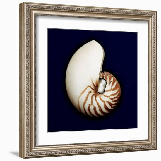 Ocean Blue 5-Julie Greenwood-Framed Art Print