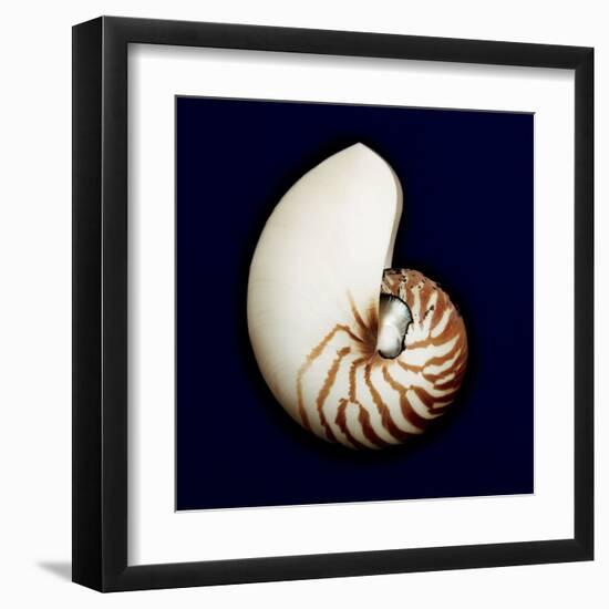 Ocean Blue 5-Julie Greenwood-Framed Art Print