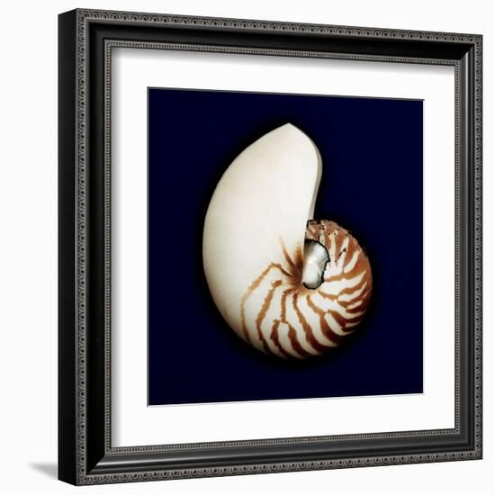 Ocean Blue 5-Julie Greenwood-Framed Art Print