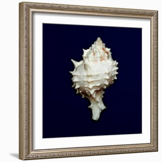 Ocean Blue 6-Julie Greenwood-Framed Art Print