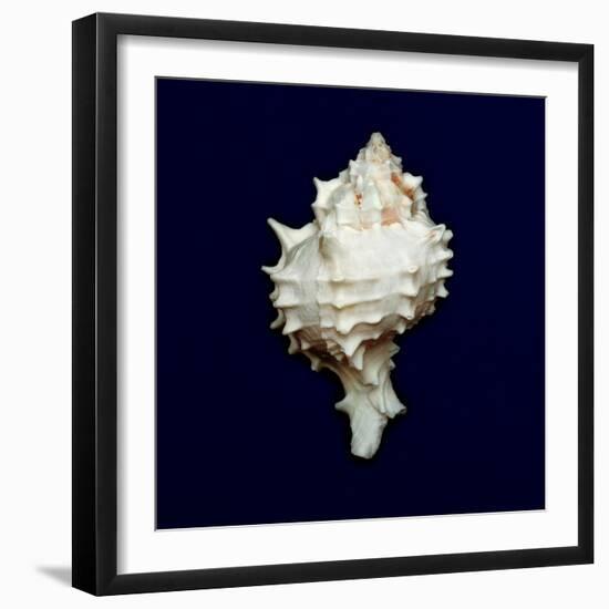 Ocean Blue 6-Julie Greenwood-Framed Art Print