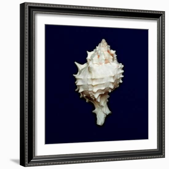 Ocean Blue 6-Julie Greenwood-Framed Art Print