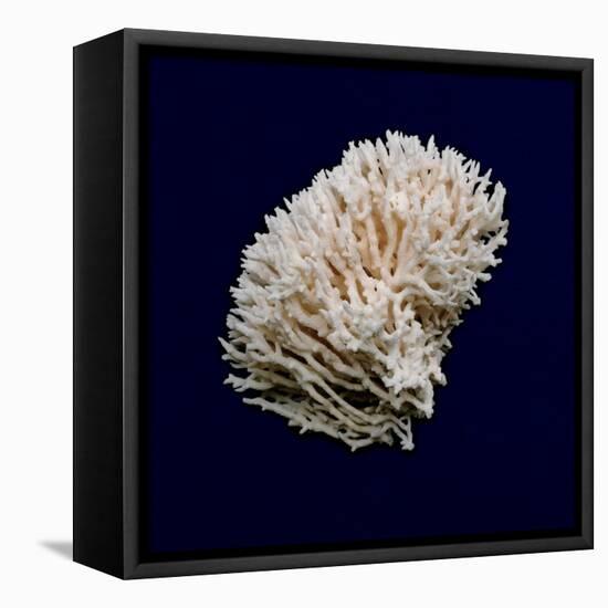 Ocean Blue 8-Julie Greenwood-Framed Stretched Canvas