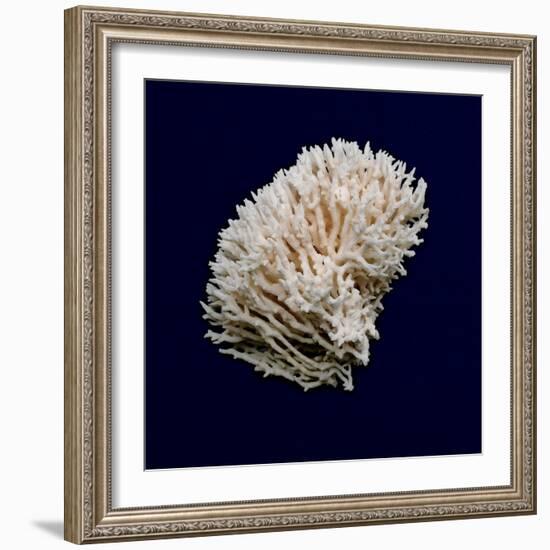 Ocean Blue 8-Julie Greenwood-Framed Art Print