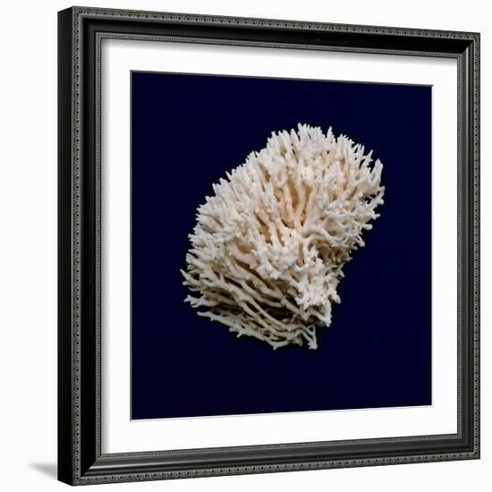 Ocean Blue 8-Julie Greenwood-Framed Art Print