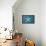 Ocean Blue-Jairo Rodriguez-Framed Stretched Canvas displayed on a wall