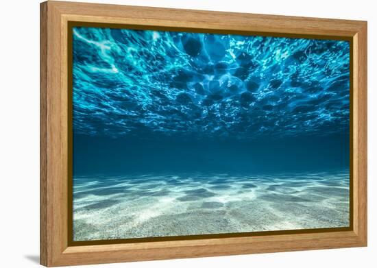 Ocean Bottom, View Beneath Surface-Cico-Framed Premier Image Canvas