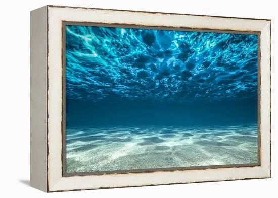 Ocean Bottom, View Beneath Surface-Cico-Framed Premier Image Canvas