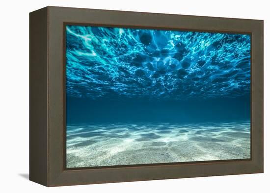 Ocean Bottom, View Beneath Surface-Cico-Framed Premier Image Canvas