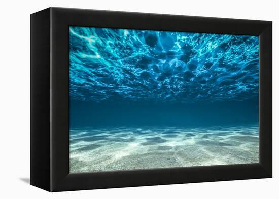 Ocean Bottom, View Beneath Surface-Cico-Framed Premier Image Canvas