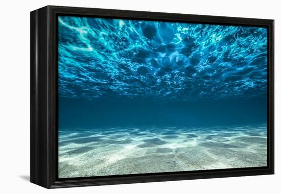 Ocean Bottom, View Beneath Surface-Cico-Framed Premier Image Canvas